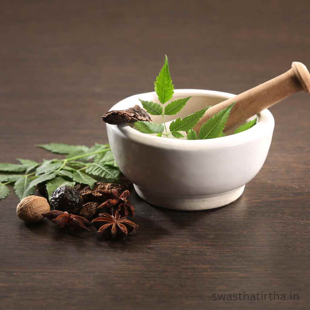 Brahmi vs Ashwagandha: Which is Better for Focus and Anxiety?